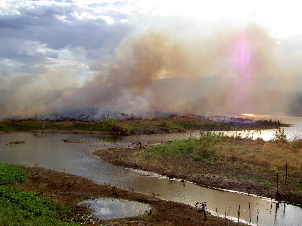 Smoke rises over a burning forest