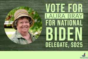 Laura Bray: Candidate for DNC Delegate