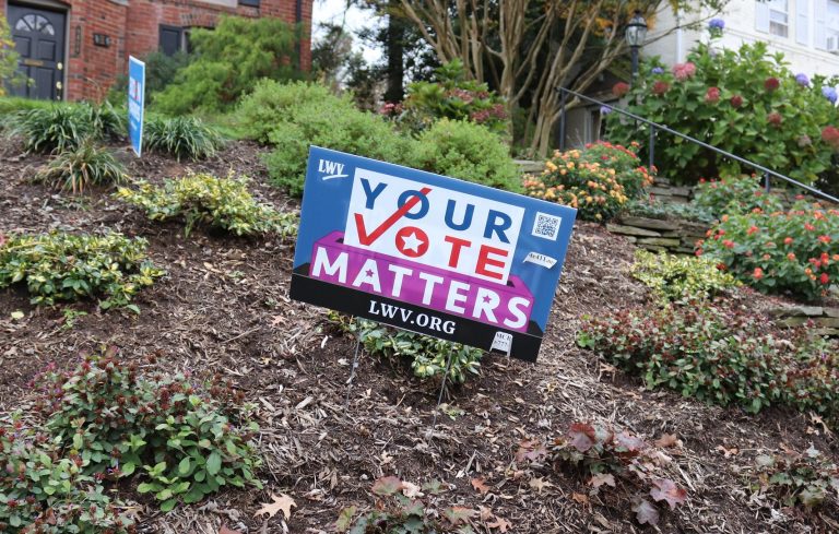 Yard sign that reads "Your Vote Matters"