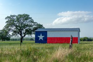 Progressive Views: The Top Six Priorities for Rural Texas