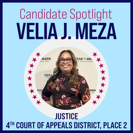 Candidate Spotlight: Judge Velia J. Meza