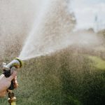 Progressive Views: Lies, Lies and More Lies