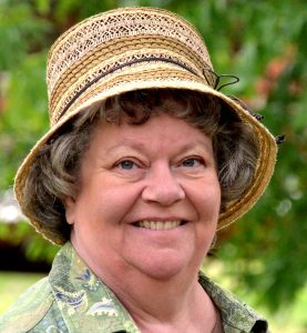 Progressive Views: My “Farewell” As Party Chair