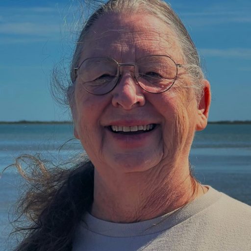 Progressive Views: Your New Democratic Chair